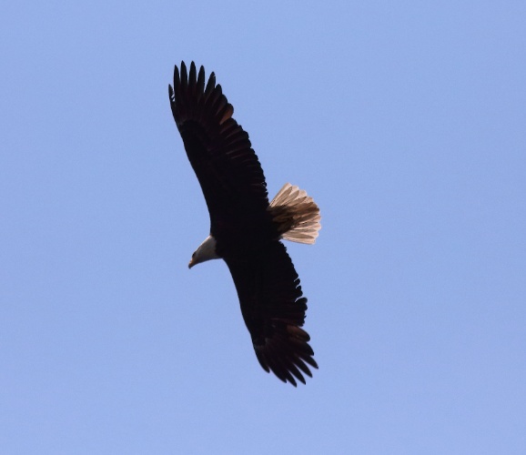 2019 05 08 HTP 90367e